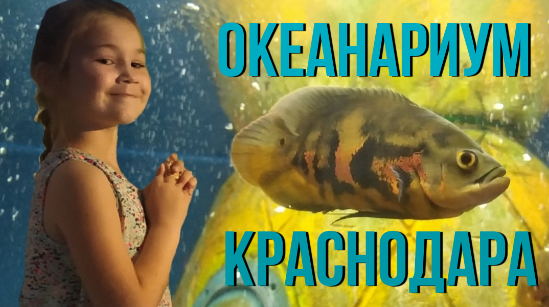 ОКЕАНАРИУМ КРАСНОДАРА/ КРУПНЕЙШИЙ ОКЕАНАРИУМ ЮГА РОССИИ/ ТРЦ ГАЛАКТИКА смотреть онлайн