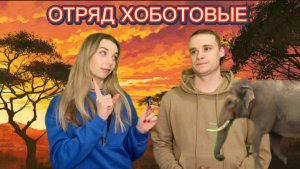 Животный мир. Семейство хоботовые.