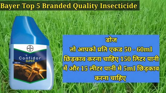 Bayer Top 5 Branded Quality Insecticide |Syngenta |Decis 100 |Confidor Super |Oberon |Glamore смотреть онлайн