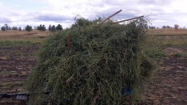 уборка тыквы. поимали двух зайцев. ?? смотреть онлайн