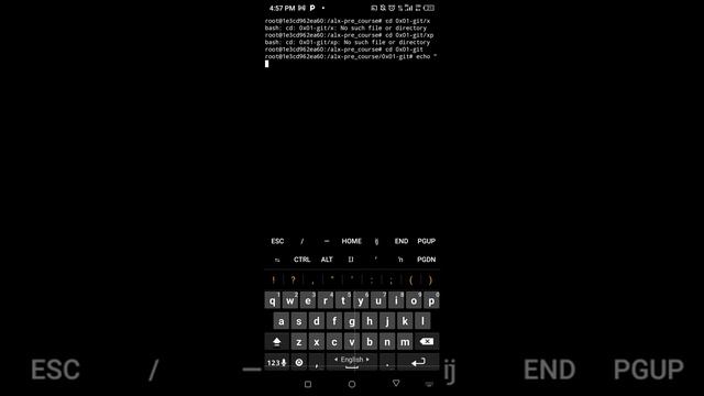PART 2 Task 3 and 4 0x01-git смотреть онлайн