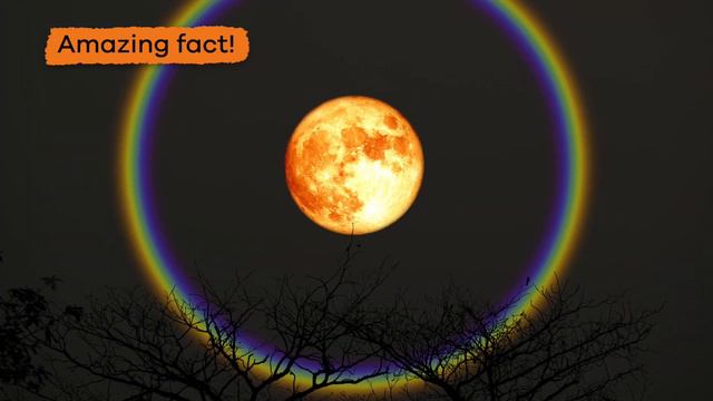 What Is a Rainbow? | Rainbows for Kids | Learn how and why rainbows form смотреть онлайн
