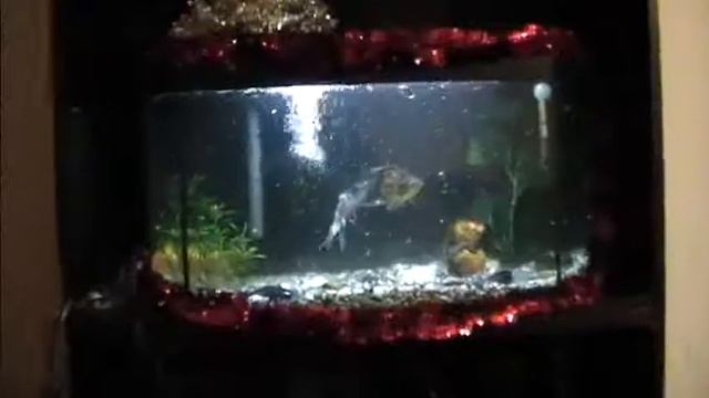 Ждём Вас в гости на Новый год!