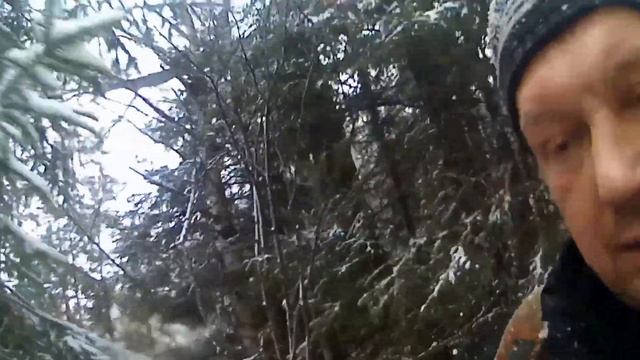 Прогулка по зимнему лесу,добыл белку. смотреть онлайн