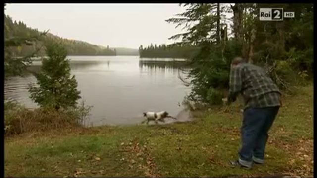 No lo botes al agua смотреть онлайн