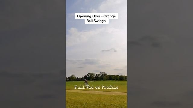 T20 - Village Cricket at its best! #villagecricket #cricketlover #cricketshorts #gopro #playcricket смотреть онлайн