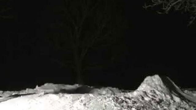 Kyle Sturman смотреть онлайн