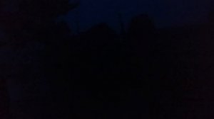 оса светошумовой и осветительный патрон