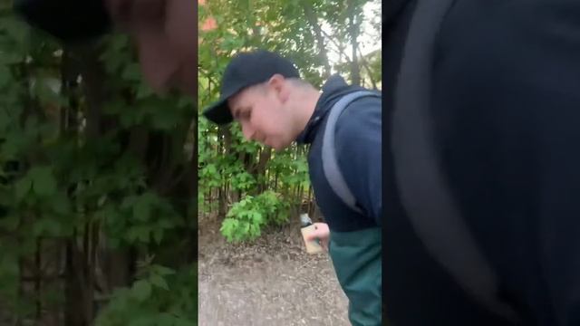 Тест на отсутствие зубных камней! Лейка, он же дуршлак, он же сито.. смотреть онлайн