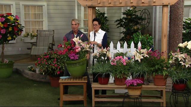 Cottage Farms 7-Piece Pink Pearls Perpetuals Garden on QVC смотреть онлайн