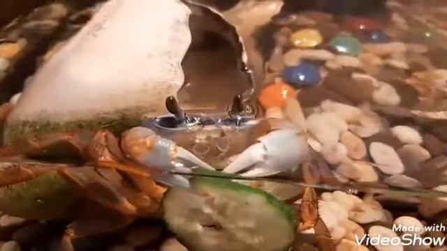 Федя ужинает. смотреть онлайн