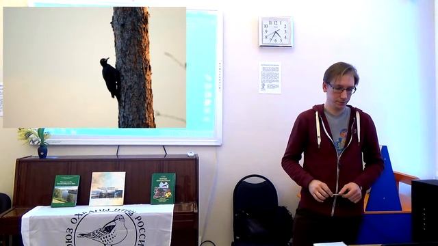 Пернатая гвардия. Птицы Липецкой области смотреть онлайн