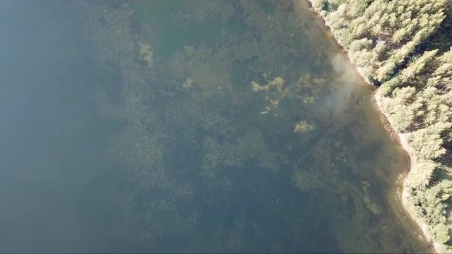 Шатневская плотина, деревня Шатнево, Вязниковский район, Владимирская область, Россия смотреть онлайн