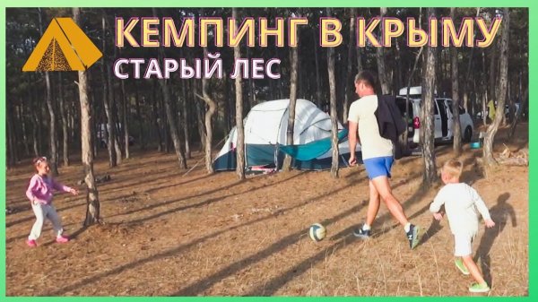 Лучший (для нас) КЕМПИНГ в Крыму _ Сосновый лес