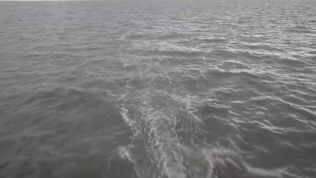 Счастливые люди | Поморы | 720p | Дмитрий Васюков смотреть онлайн