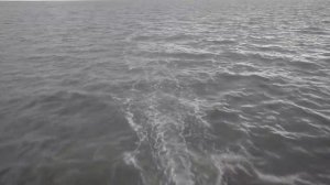 Счастливые люди | Поморы | 720p | Дмитрий Васюков