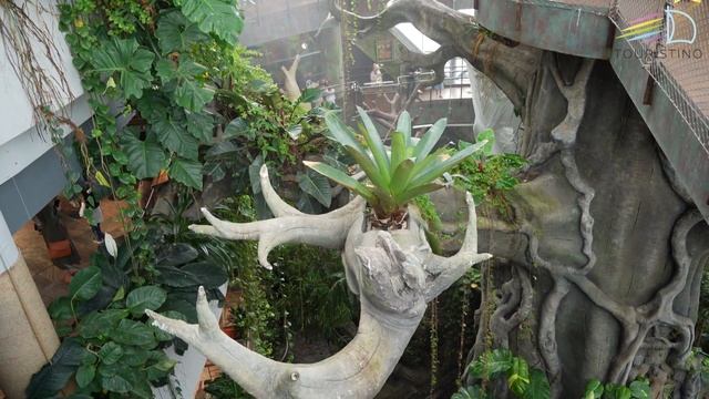 Дубай. Green Planet Dubai. Обзор лучшего зоопарка Грин Планет. Где купить. Цены. Туристино Дубай смотреть онлайн