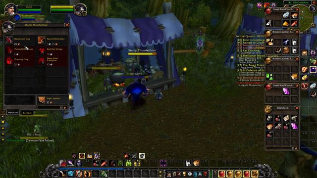 Goldshire Darkmoon Faire Classic WoW смотреть онлайн