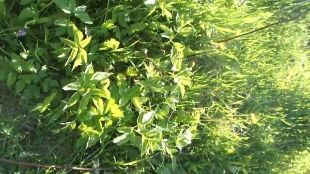 Забыл камеру выключить смотреть онлайн