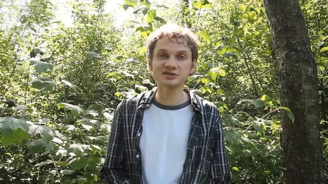 ЧЕРНАЯ ПЯТНИСТОСТЬ РОЗ. Причины, методы борьбы, лечение и схема обработок смотреть онлайн