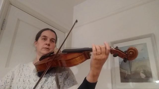 Allegretto In C Mozart