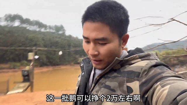 农村养2200只鹅需要多少成本，能挣多少，今天跟大家算一下 смотреть онлайн