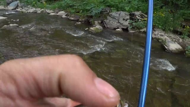 ЗАЛЕЗ В ДЕБРИ ЛЕСНОГО РУЧЬЯ И НЕ ЗРЯ!! Рыбалка на хариуса в горах! смотреть онлайн
