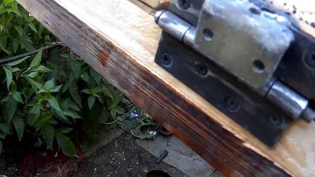 Солнечная сушилка для фруктов своими руками смотреть онлайн