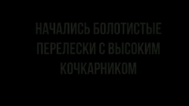 Поездка по болоту с перегрузом. смотреть онлайн