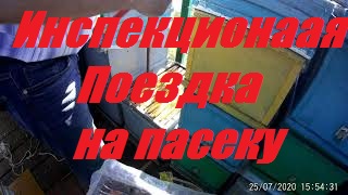 Каждый день-сюрпризы и загадки от пчел.Взяток с подсолнуха пошёл.Инспекционная поездка на пасеку. смотреть онлайн