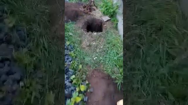 Установка столбов под навес. ч.1 копка