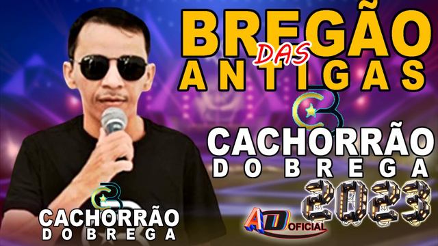 CACHORRÃO DO BREGA - BREGÃO DAS ANTIGAS - AO VIVO смотреть онлайн