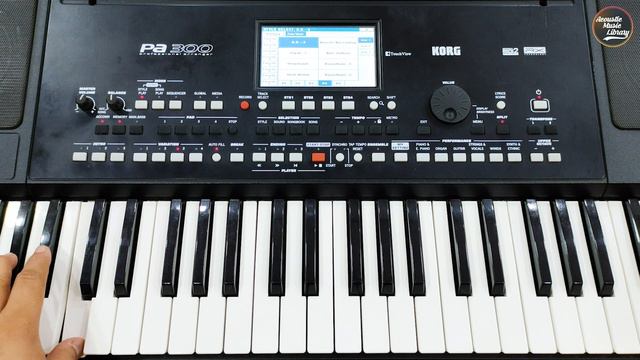 Indian 🇮🇳 Styles | KORG PA-300 | Demo смотреть онлайн