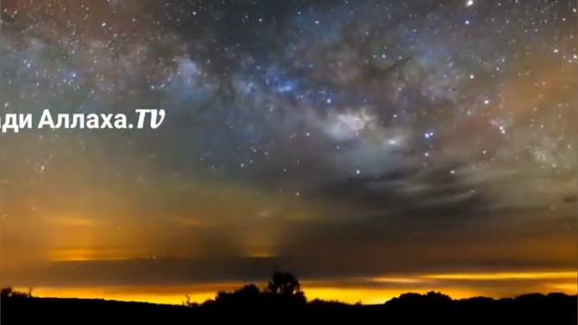 Мухаммад Тарик Сура Ясин смотреть онлайн