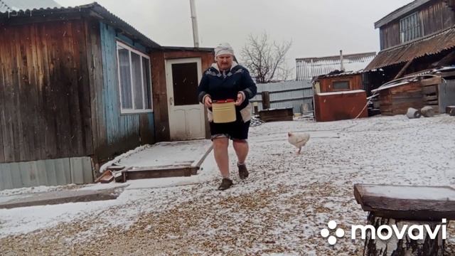 живу в деревне/консерва в Малиновке 3/впервые сыр с семечками/28 октября 2023 г. смотреть онлайн