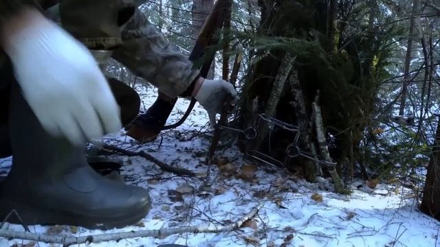 Как поймать куницу // Какие капканы запрещены смотреть онлайн