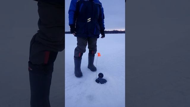 Рыбалка жерлицы озеро Зауломское смотреть онлайн