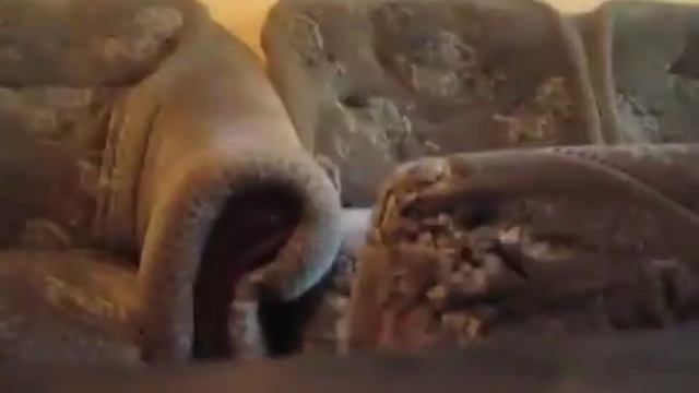 Сдам картиру в Керчи рядом с морем смотреть онлайн