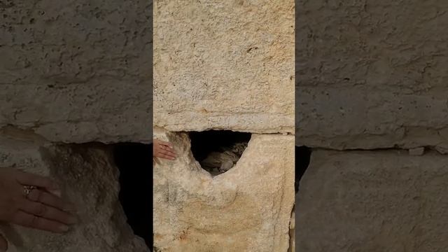 Сейфора (Циппори )24  Крепость - церковь стоит на ведических каменных саркофагах .