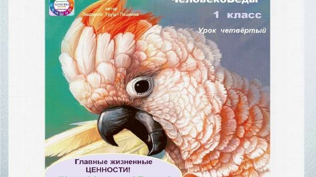 Главные жизненные ценности. "ЧеловекоВеды" 1 класс смотреть онлайн