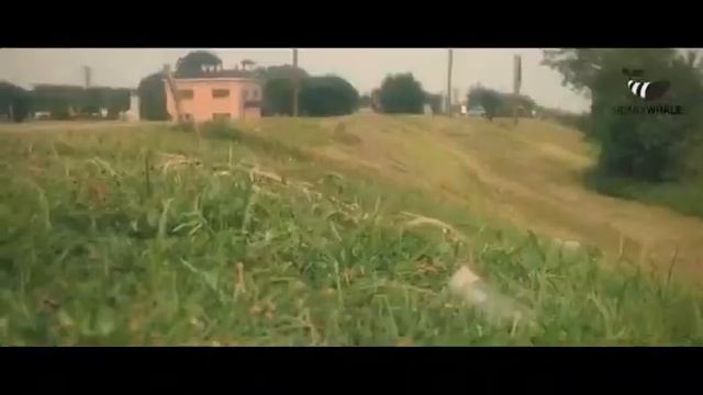 Honeywhale E5 Electric Scooter, BOGIST Thunder MAX2, Same Electric Scooter, From Same Factory