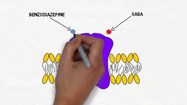 2-Minute Neuroscience: Benzodiazepines смотреть онлайн