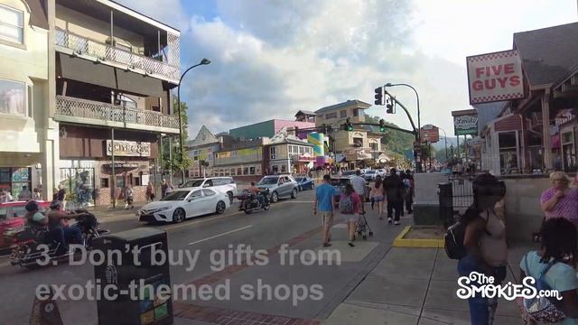 What not to do when you visit Gatlinburg and Pigeon Forge TN смотреть онлайн