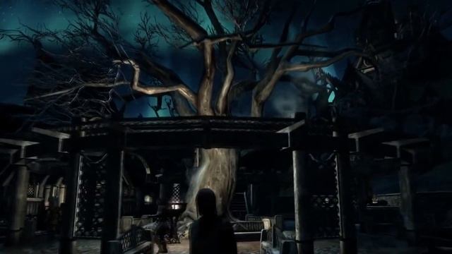 The Elder Scrolls 6 ● Небольшое изменение нужное TES 6