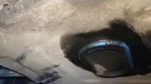 Причина течи масла КПП приора 2