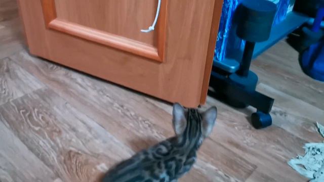 Первая игрушка Багиры смотреть онлайн