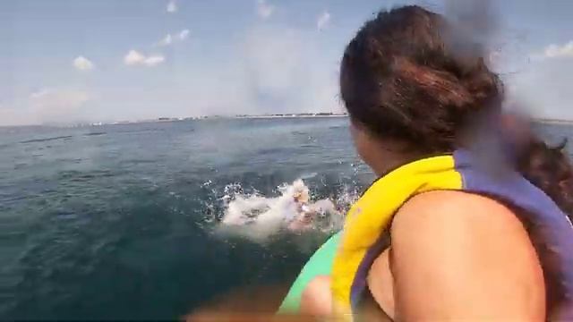 Крым. Береговое. Пляж. Катание на банане. Подводный мир Чёрного моря, медузы, много рыбы.#крым смотреть онлайн