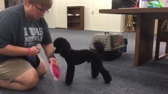 FE 120-Week 1 video 1 1:58 смотреть онлайн