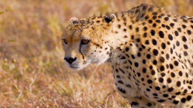 Доброе утро! смотреть онлайн