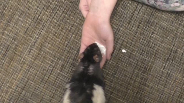 Делай То, Что Дарит Счастье